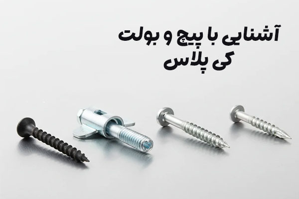 پیچ و بولت کی پلاس